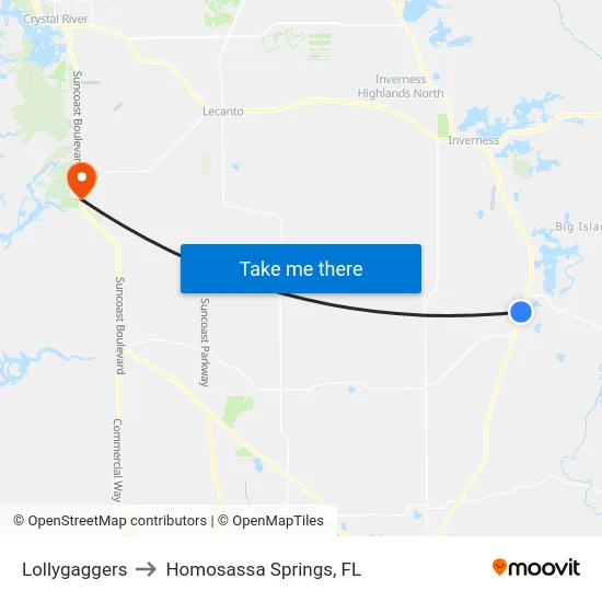 Lollygaggers to Homosassa Springs, FL map