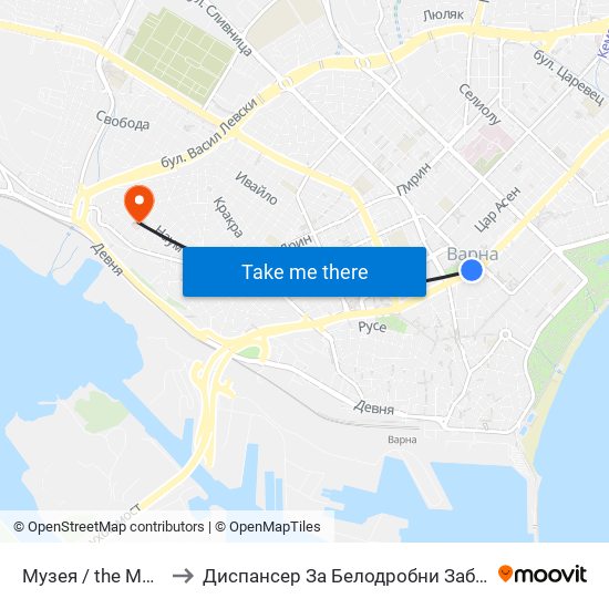 Музея / the Museum to Диспансер За Белодробни Заболявания map