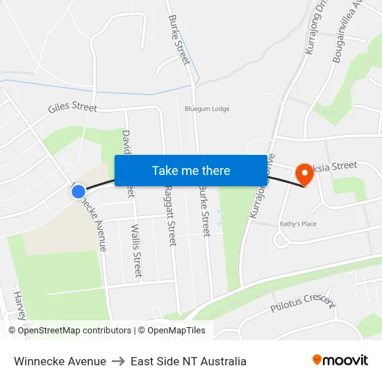 Winnecke Avenue to East Side NT Australia map