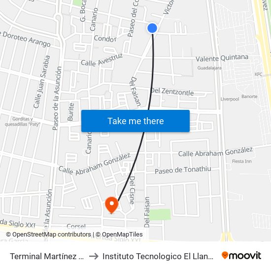 Terminal Martínez Domínguez to Instituto Tecnologico El Llano Aguascalientes map