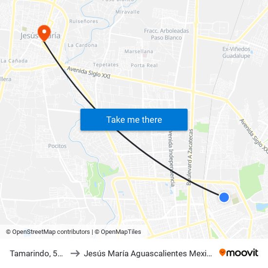 Tamarindo, 518 to Jesús María Aguascalientes Mexico map