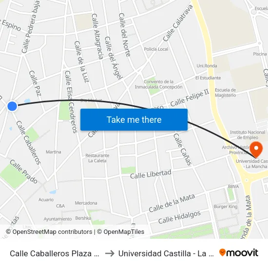Calle Caballeros Plaza Carmen to Universidad Castilla - La Mancha map