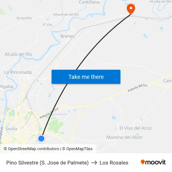 Pino Silvestre (S. Jose de Palmete) to Los Rosales map