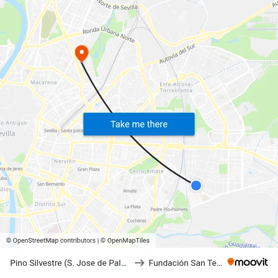 Pino Silvestre (S. Jose de Palmete) to Fundación San Telmo map