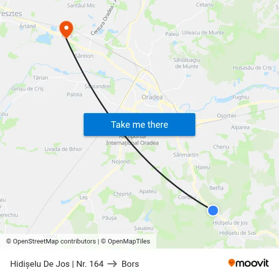 Hidișelu De Jos | Nr. 164 to Bors map