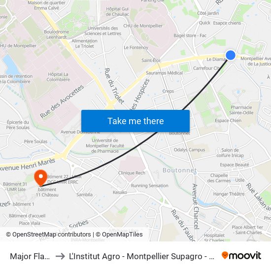 Major Flandre to L'Institut Agro - Montpellier Supagro - Montpellier map