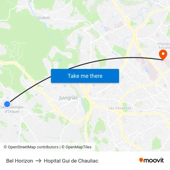 Bel Horizon to Hopital Gui de Chauliac map