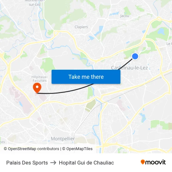 Palais Des Sports to Hopital Gui de Chauliac map