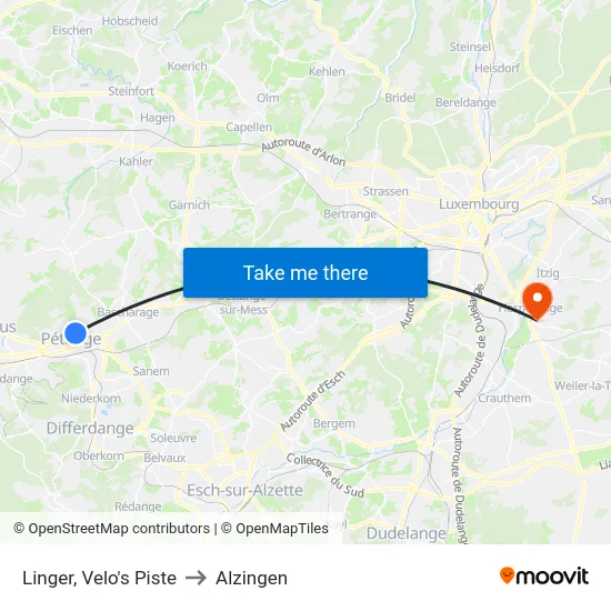 Linger, Velo's Piste to Alzingen map