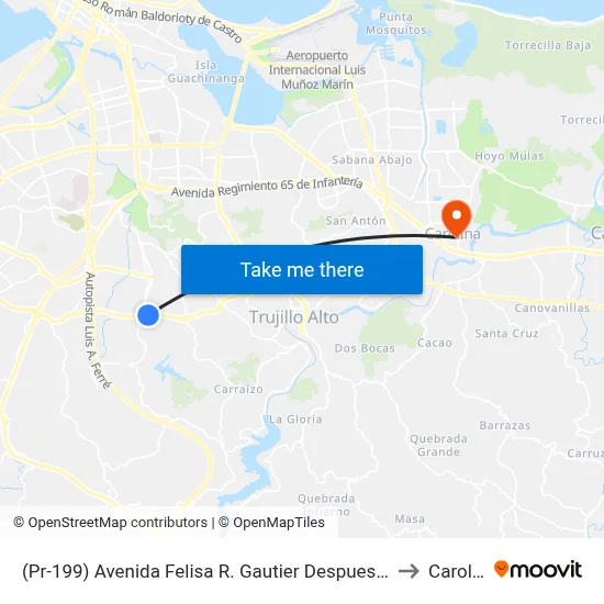 (Pr-199) Avenida Felisa R. Gautier Despues (Pr-176) Avenida Victor M. Labiosa to Carolina, PR map