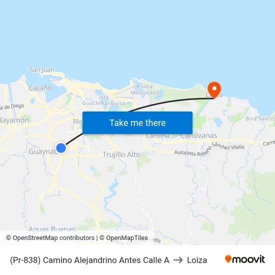(Pr-838) Camino Alejandrino Antes Calle A to Loiza map