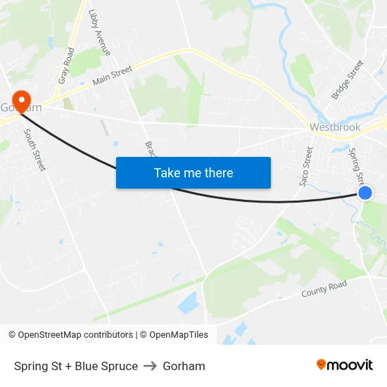 Spring St + Blue Spruce to Gorham map
