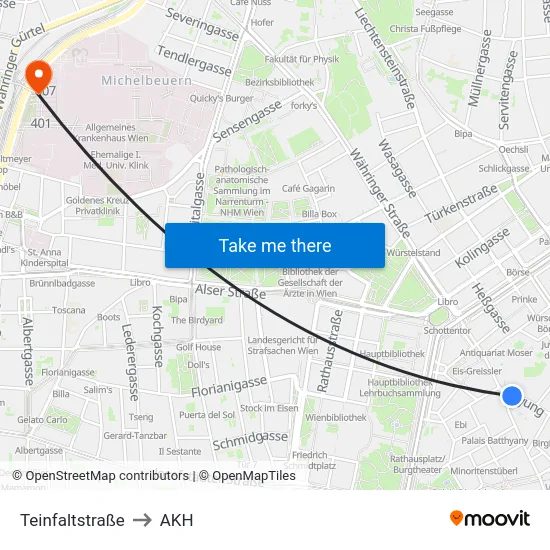Teinfaltstraße to AKH map