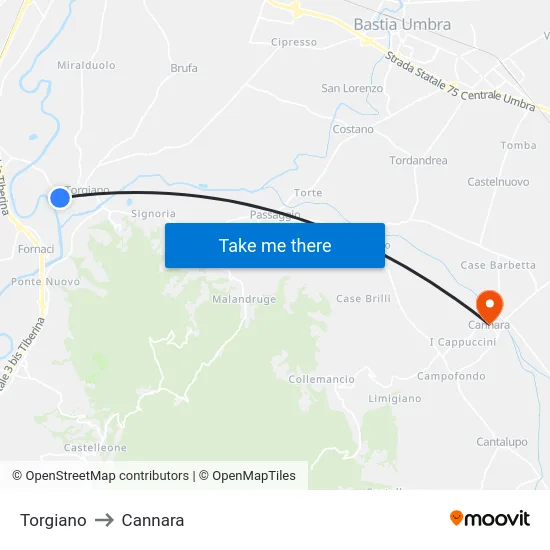 Torgiano to Cannara map