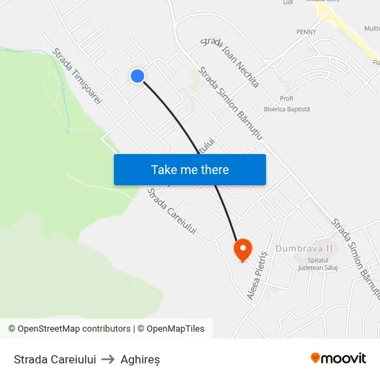 Strada Careiului to Aghireș map