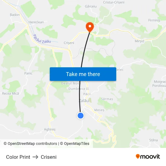 Color Print to Criseni map