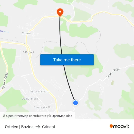 Ortelec | Bazine to Criseni map
