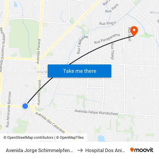 Avenida Jorge Schimmelpfeng 725 to Hospital Dos Animais map