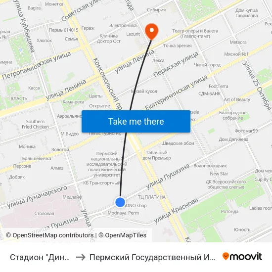 Стадион "Динамо" (Пушкина) to Пермский Государственный Институт Искусства И Культуры map
