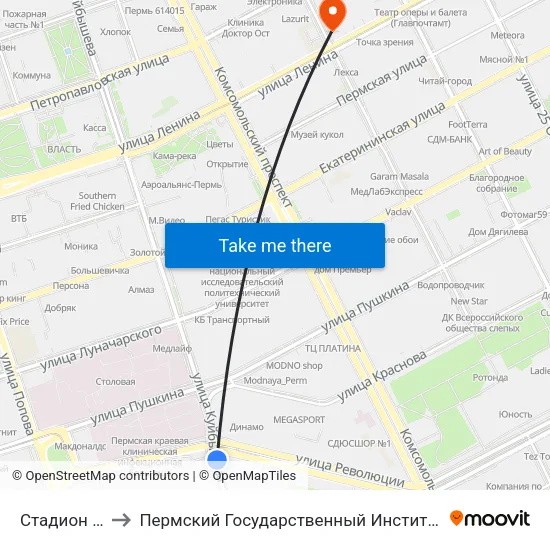 Стадион Динамо to Пермский Государственный Институт Искусства И Культуры map