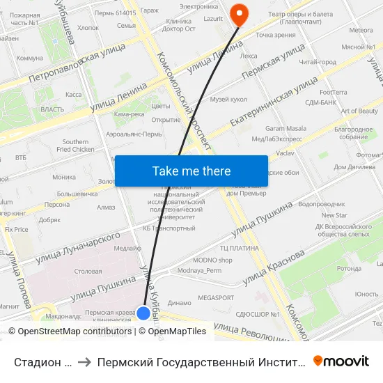 Стадион Динамо to Пермский Государственный Институт Искусства И Культуры map