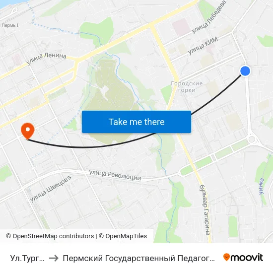 Ул.Тургенева to Пермский Государственный Педагогический Университет map