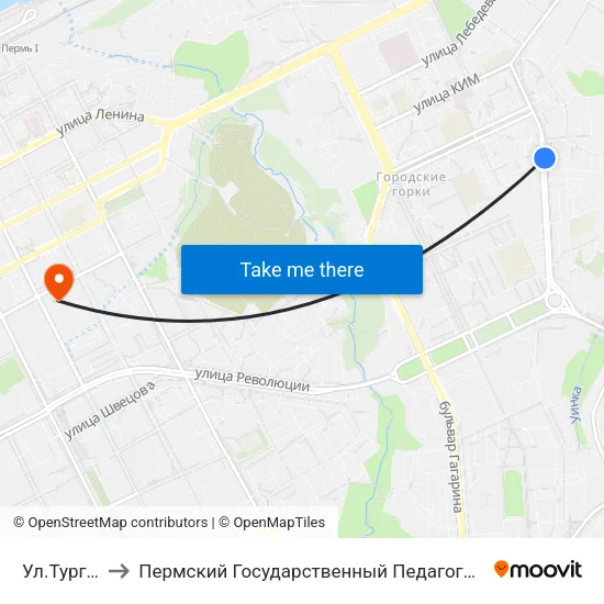 Ул.Тургенева to Пермский Государственный Педагогический Университет map