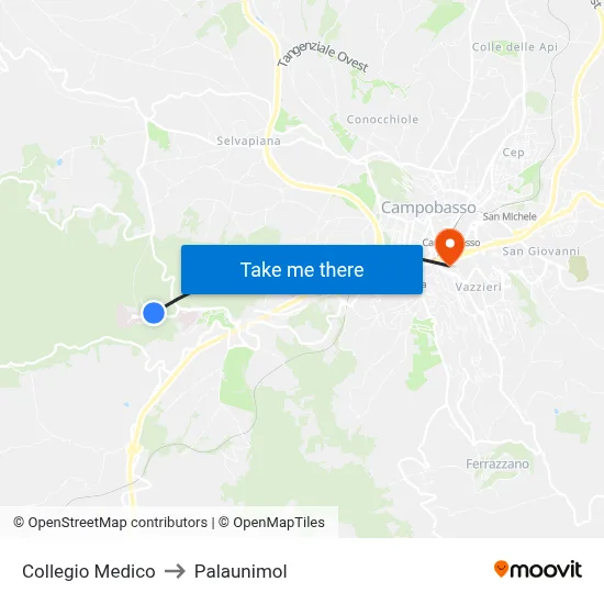 Collegio Medico to Palaunimol map