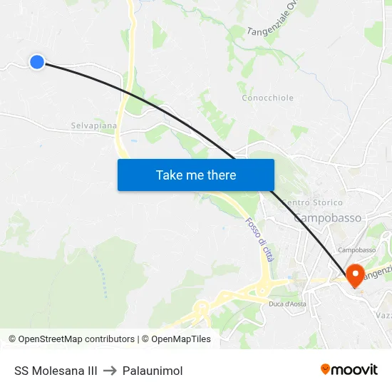 SS Molesana III to Palaunimol map
