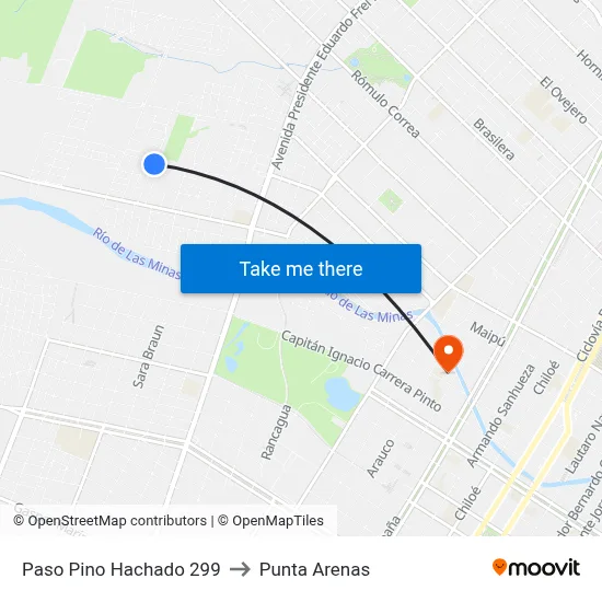 Paso Pino Hachado 299 to Punta Arenas map