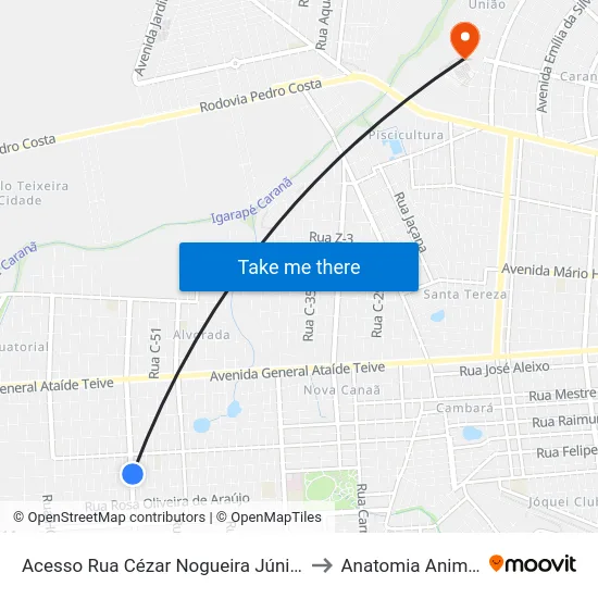 Acesso Rua Cézar Nogueira Júnior to Anatomia Animal map