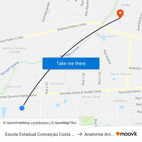 Escola Estadual Conceição Costa E Silva to Anatomia Animal map