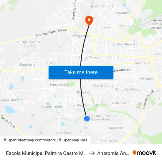 Escola Municipal Palmira Castro Machado to Anatomia Animal map