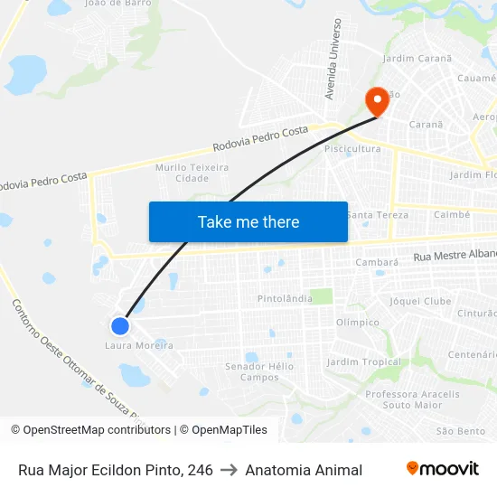 Rua Major Ecildon Pinto, 246 to Anatomia Animal map