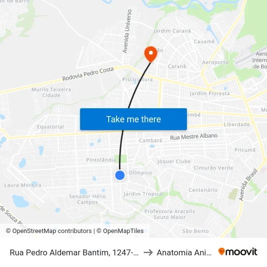 Rua Pedro Aldemar Bantim, 1247-1343 to Anatomia Animal map