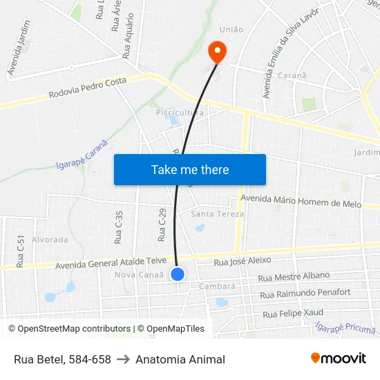 Rua Betel, 584-658 to Anatomia Animal map