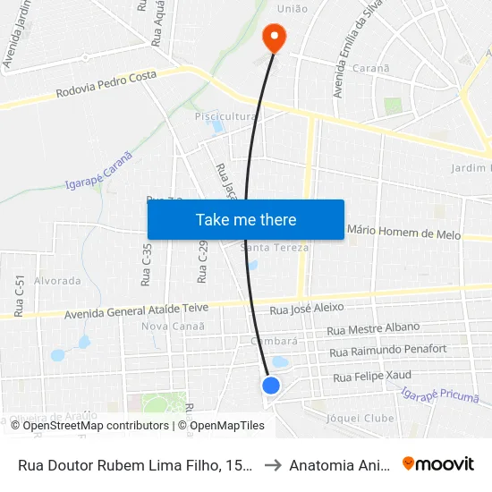 Rua Doutor Rubem Lima Filho, 155-319 to Anatomia Animal map