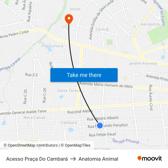 Acesso Praça Do Cambará to Anatomia Animal map