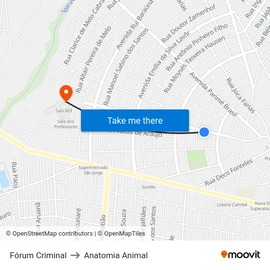 Fórum Criminal to Anatomia Animal map