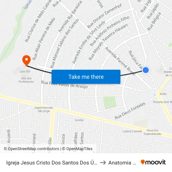 Igreja Jesus Cristo Dos Santos Dos Últimos Dias C/B to Anatomia Animal map