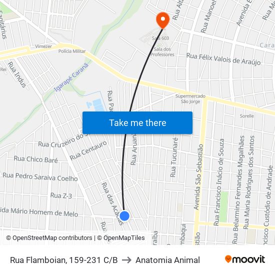 Rua Flamboian, 159-231 C/B to Anatomia Animal map