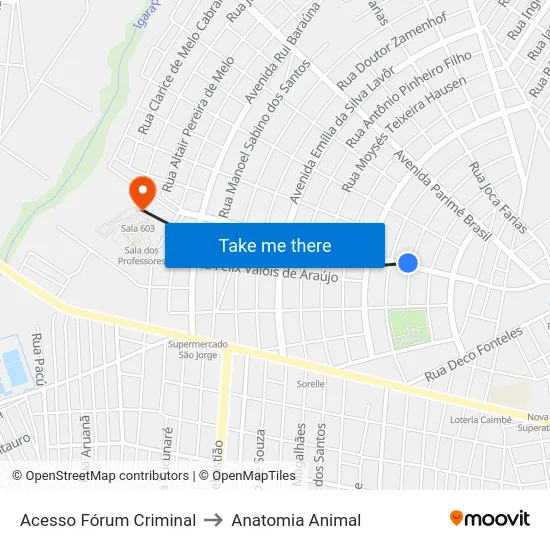 Acesso Fórum Criminal to Anatomia Animal map