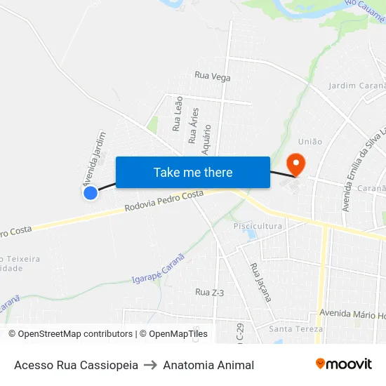 Acesso Rua Cassiopeia to Anatomia Animal map