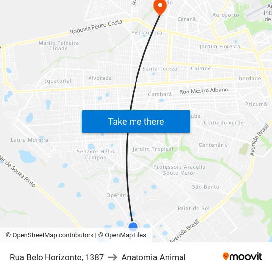Rua Belo Horizonte, 1387 to Anatomia Animal map