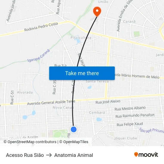 Acesso Rua Sião to Anatomia Animal map