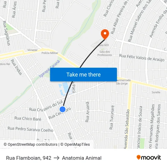 Rua Flamboian, 942 to Anatomia Animal map