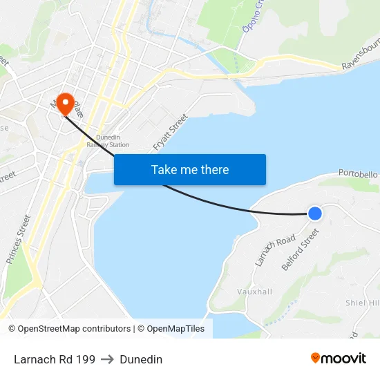 Larnach Rd 199 to Dunedin map