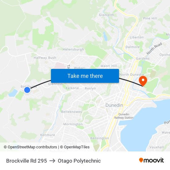 Brockville Rd 295 to Otago Polytechnic map