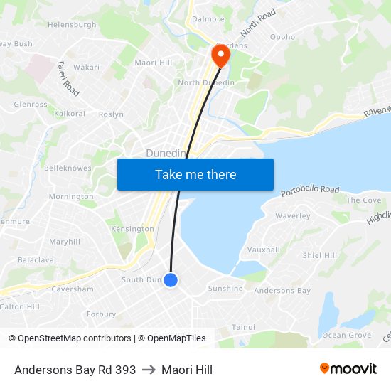 Andersons Bay Rd 393 to Maori Hill map