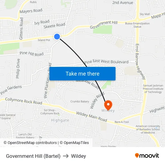 Government Hill (Bartel) to Wildey map